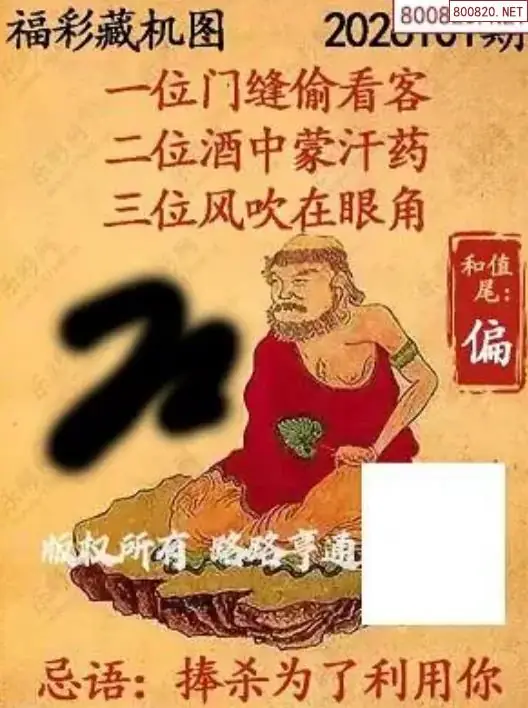 乐彩3D藏机图