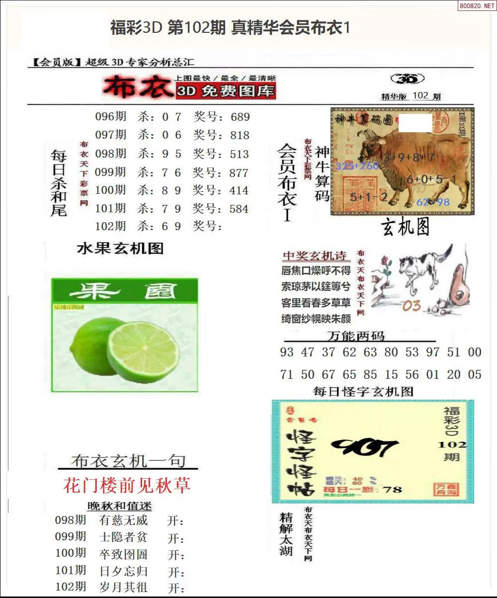 真精华会员布衣1