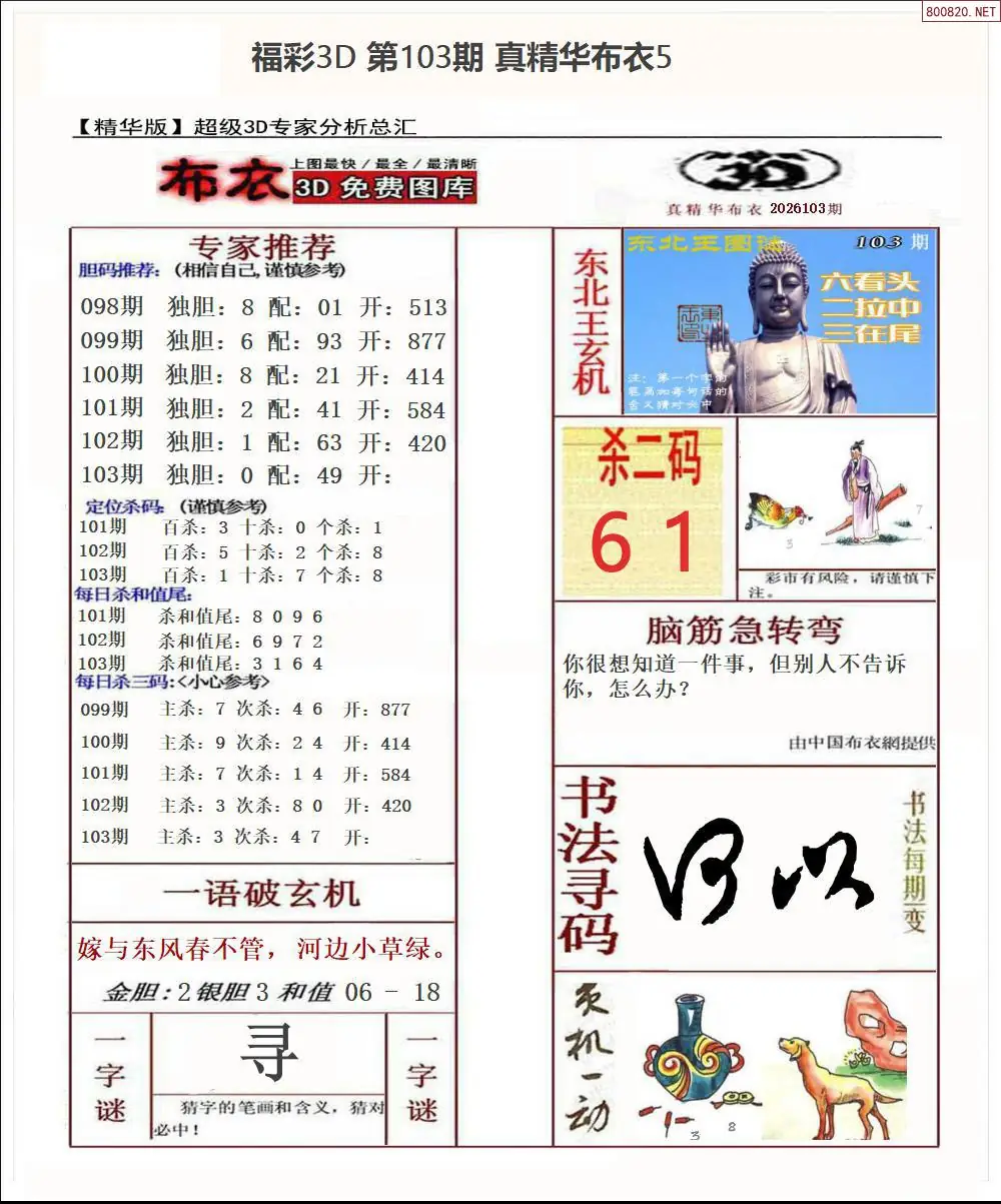 真精华布衣5