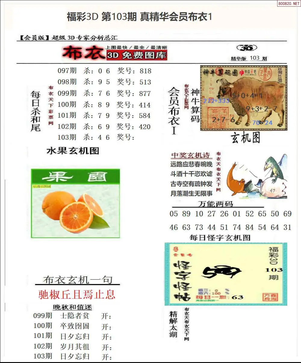 真精华会员布衣1