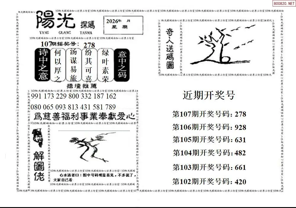 3D阳光探码
