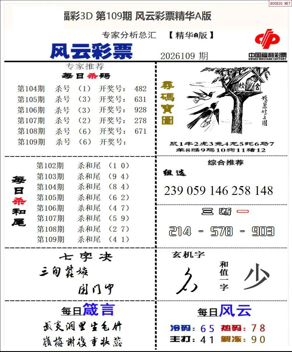 风云彩票精华A