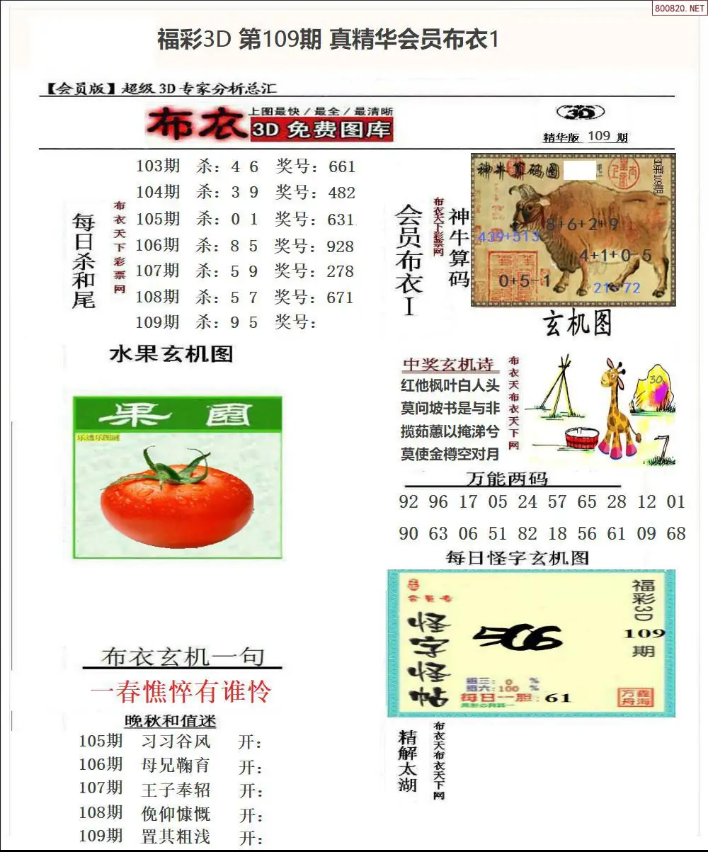 真精华会员布衣1