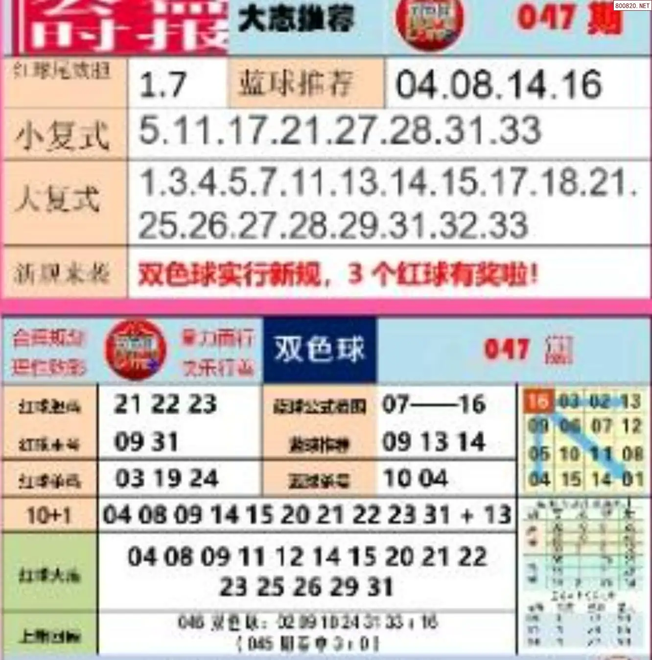 胖哥推荐