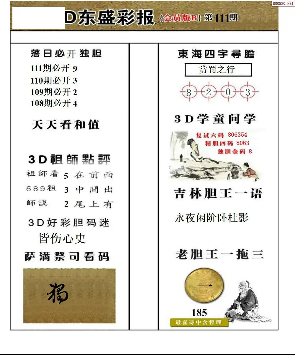 东盛VIP版B版