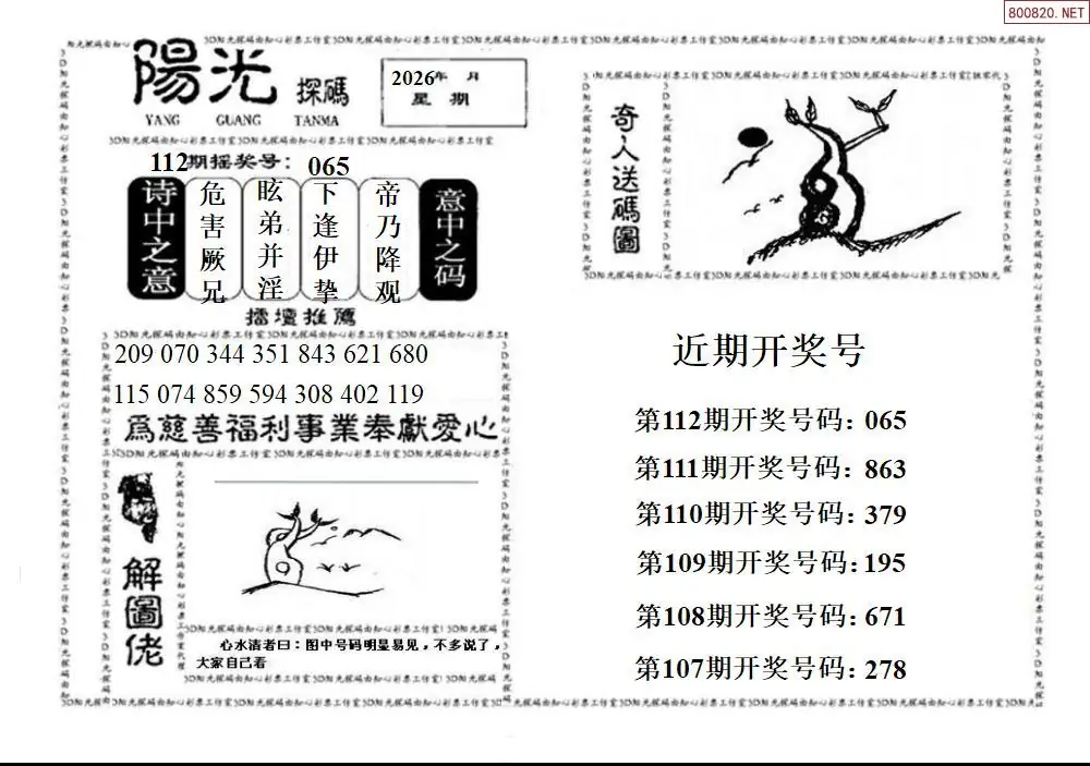 3D阳光探码