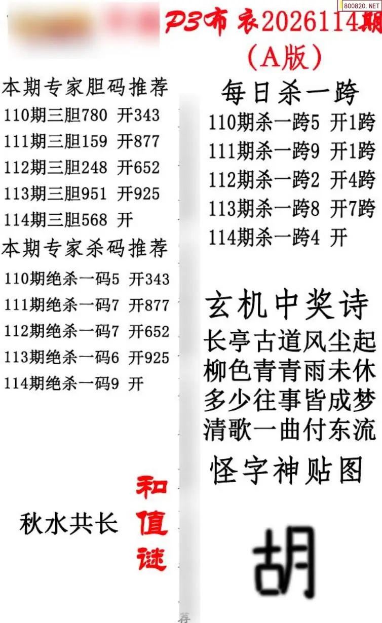 p3牛彩布衣A版