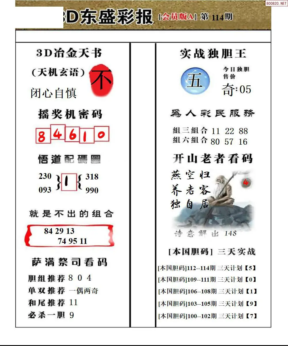 东盛VIP版A版