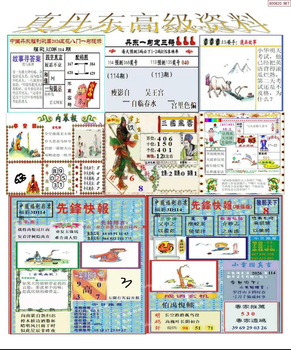 真丹东高级资料