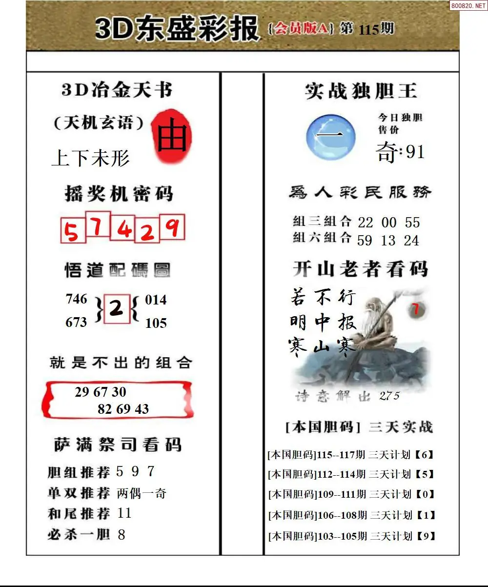 东盛VIP版A版