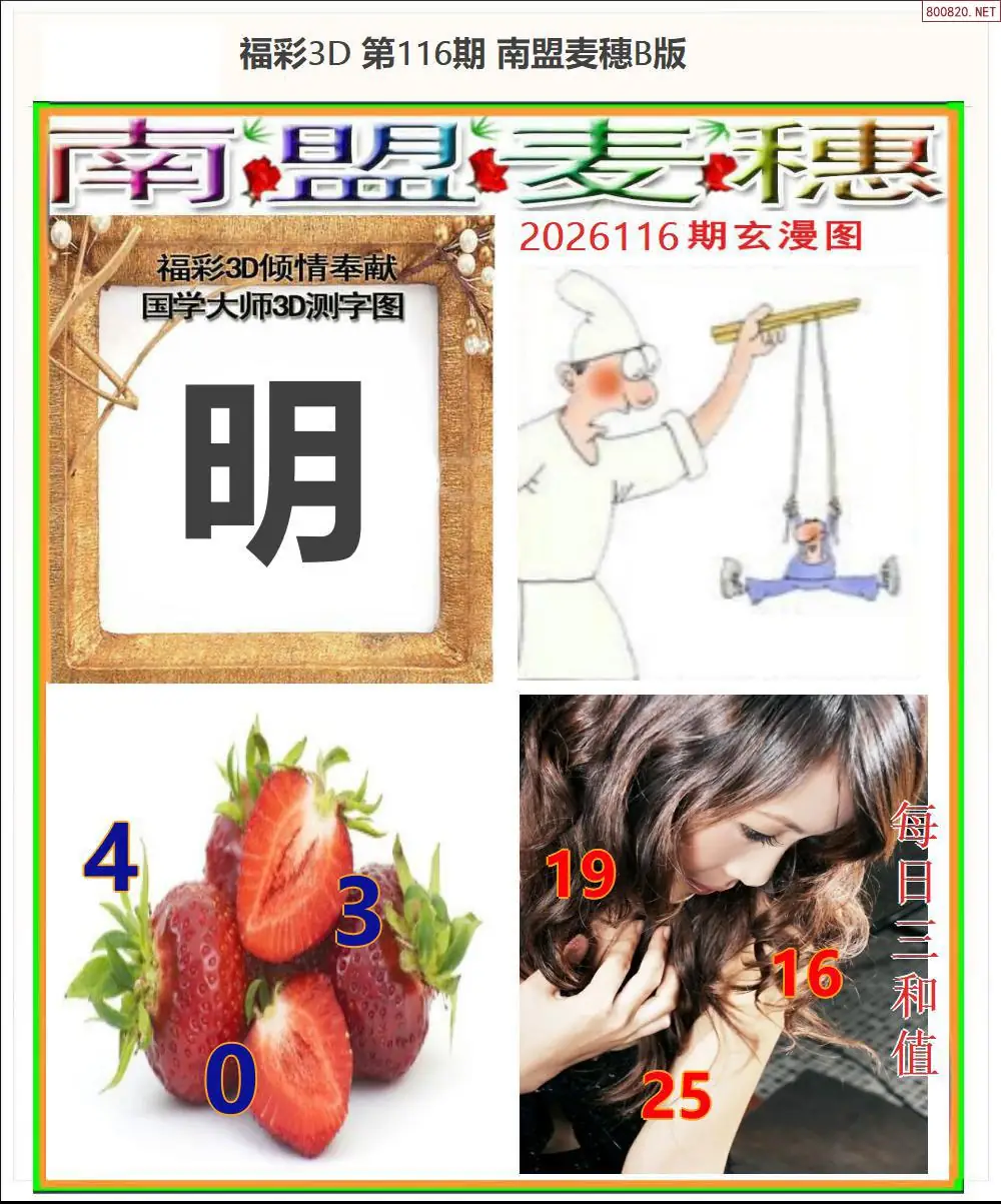 南盟麦穗B版
