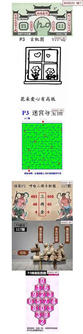 蜂巢天机图谜