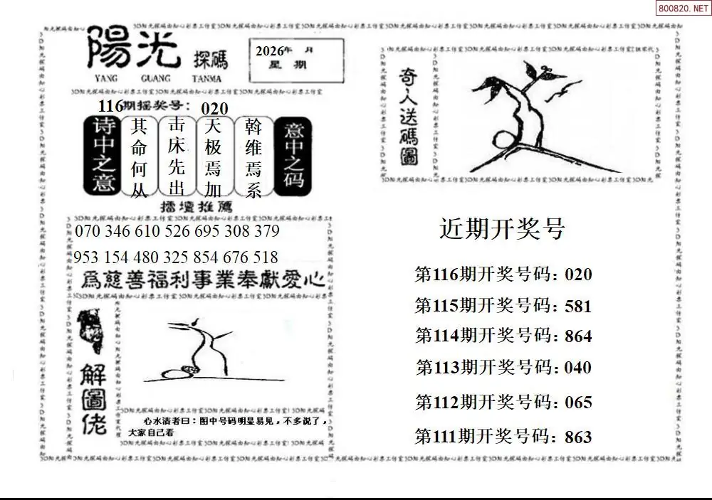 3D阳光探码