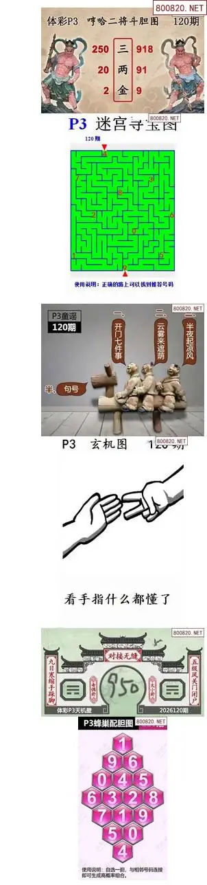 蜂巢天机图谜