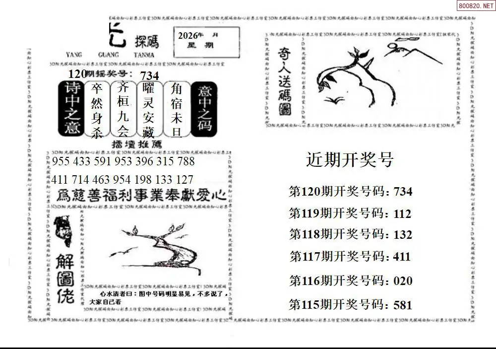 3D阳光探码