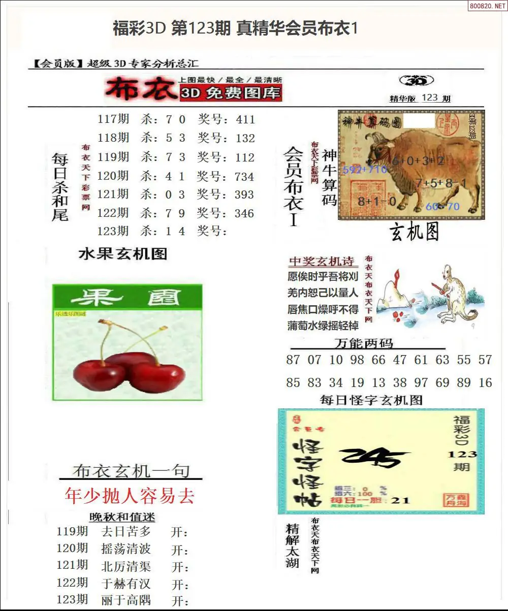 真精华会员布衣1