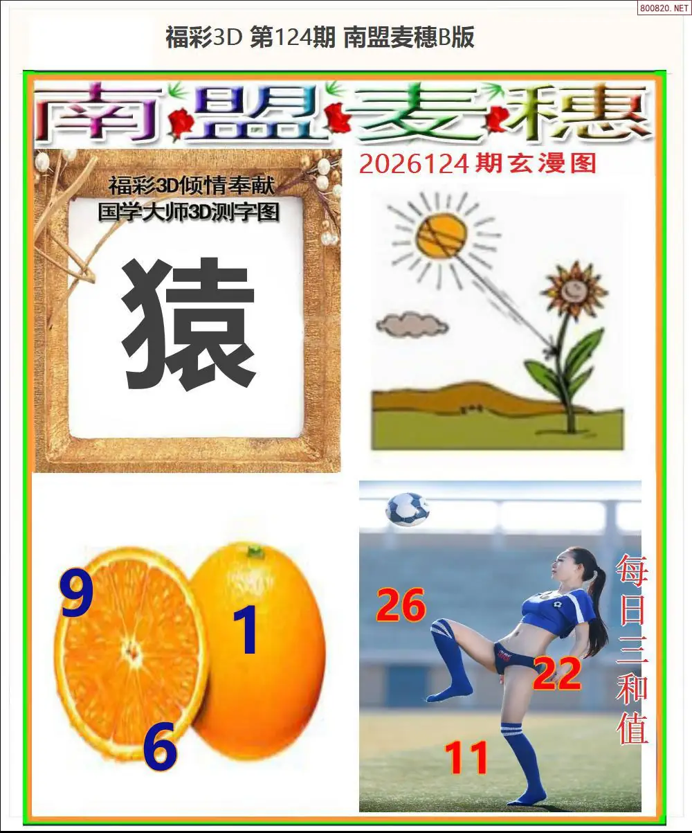 南盟麦穗B版