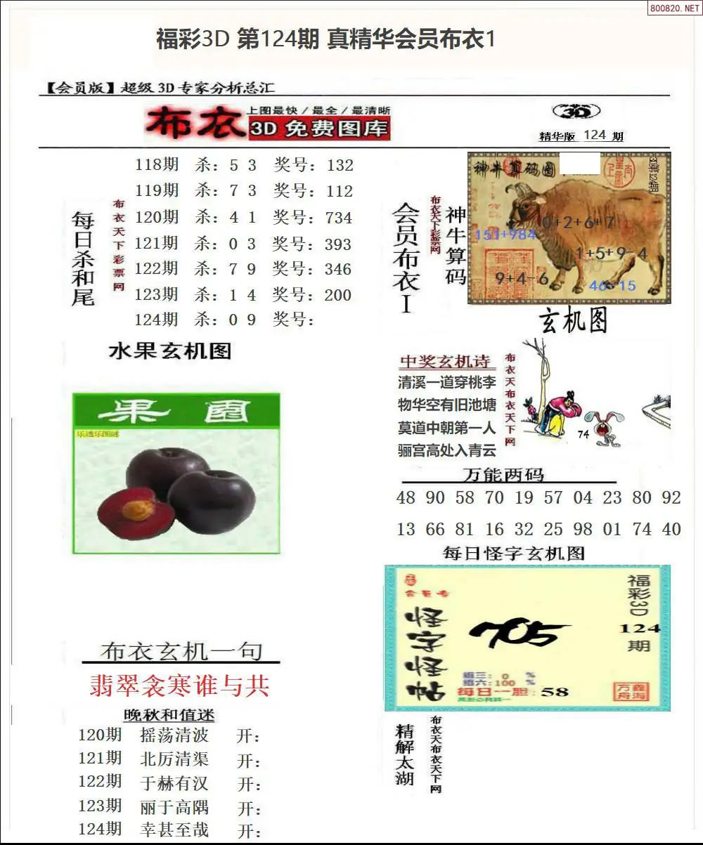 真精华会员布衣1