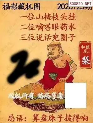 乐彩3D藏机图