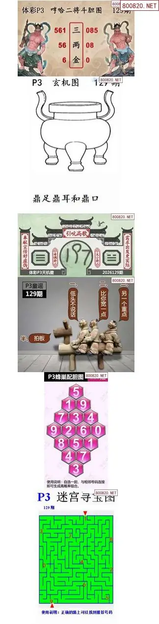 蜂巢天机图谜