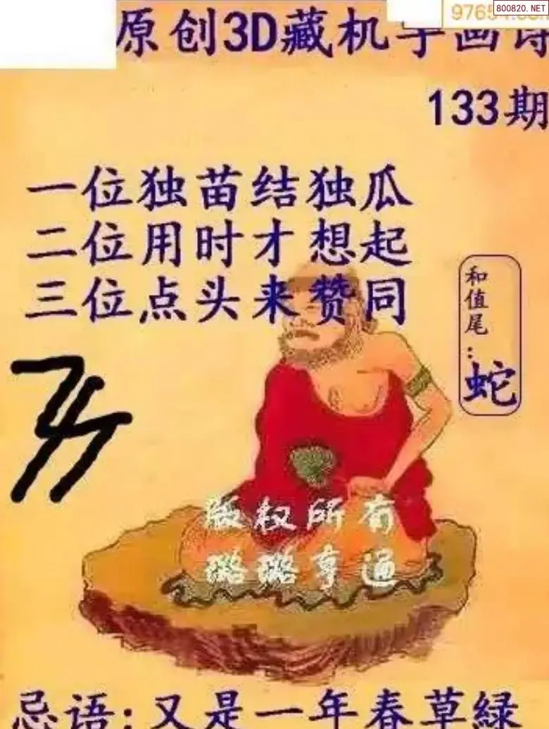 牛彩3D藏机图