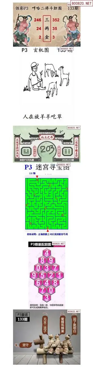 蜂巢天机图谜