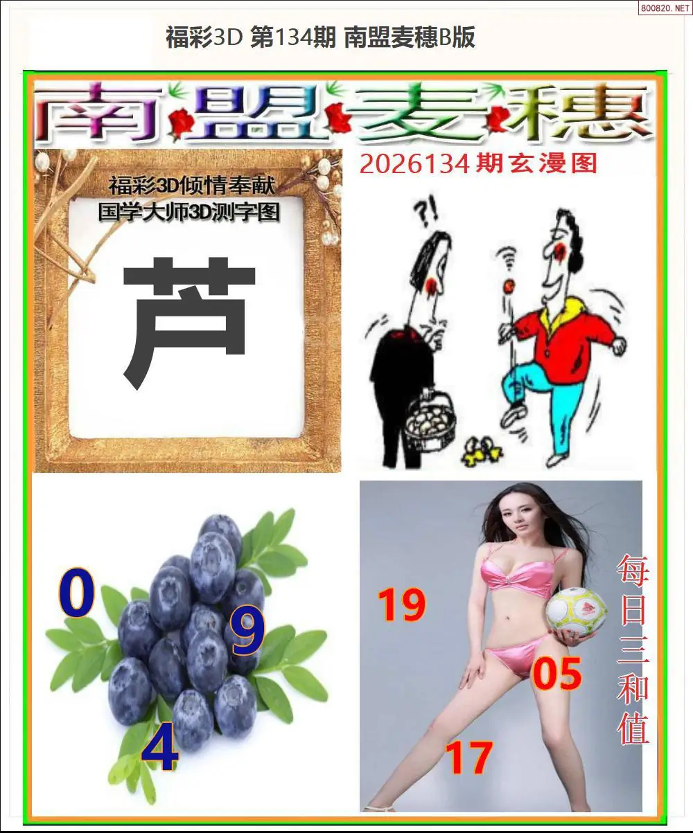 南盟麦穗B版