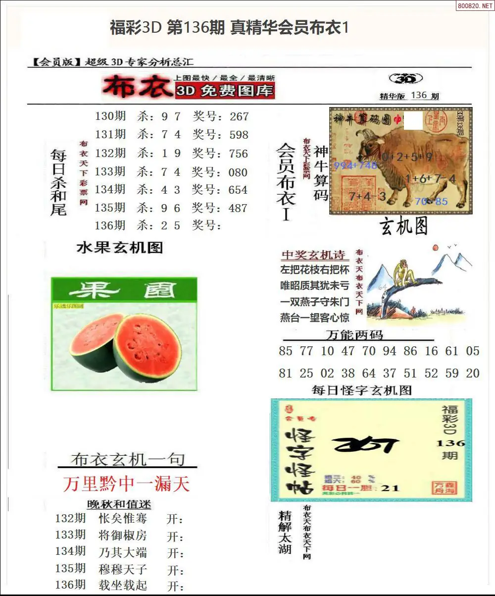 真精华会员布衣1
