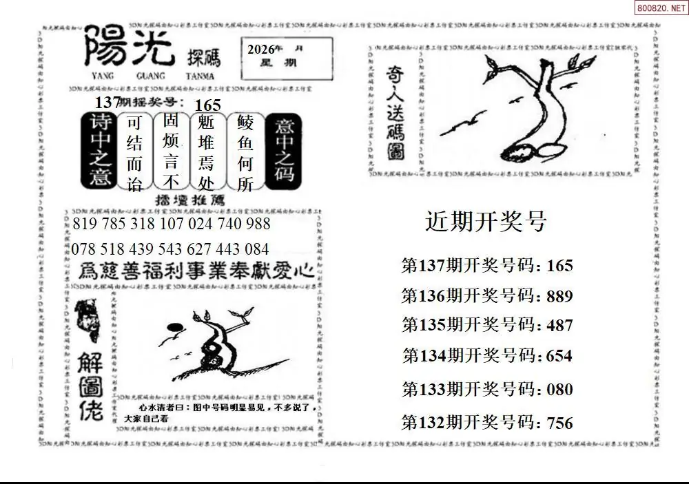 3D阳光探码