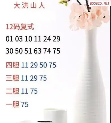 大洪山人推荐