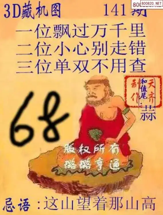 天齐3D藏机图