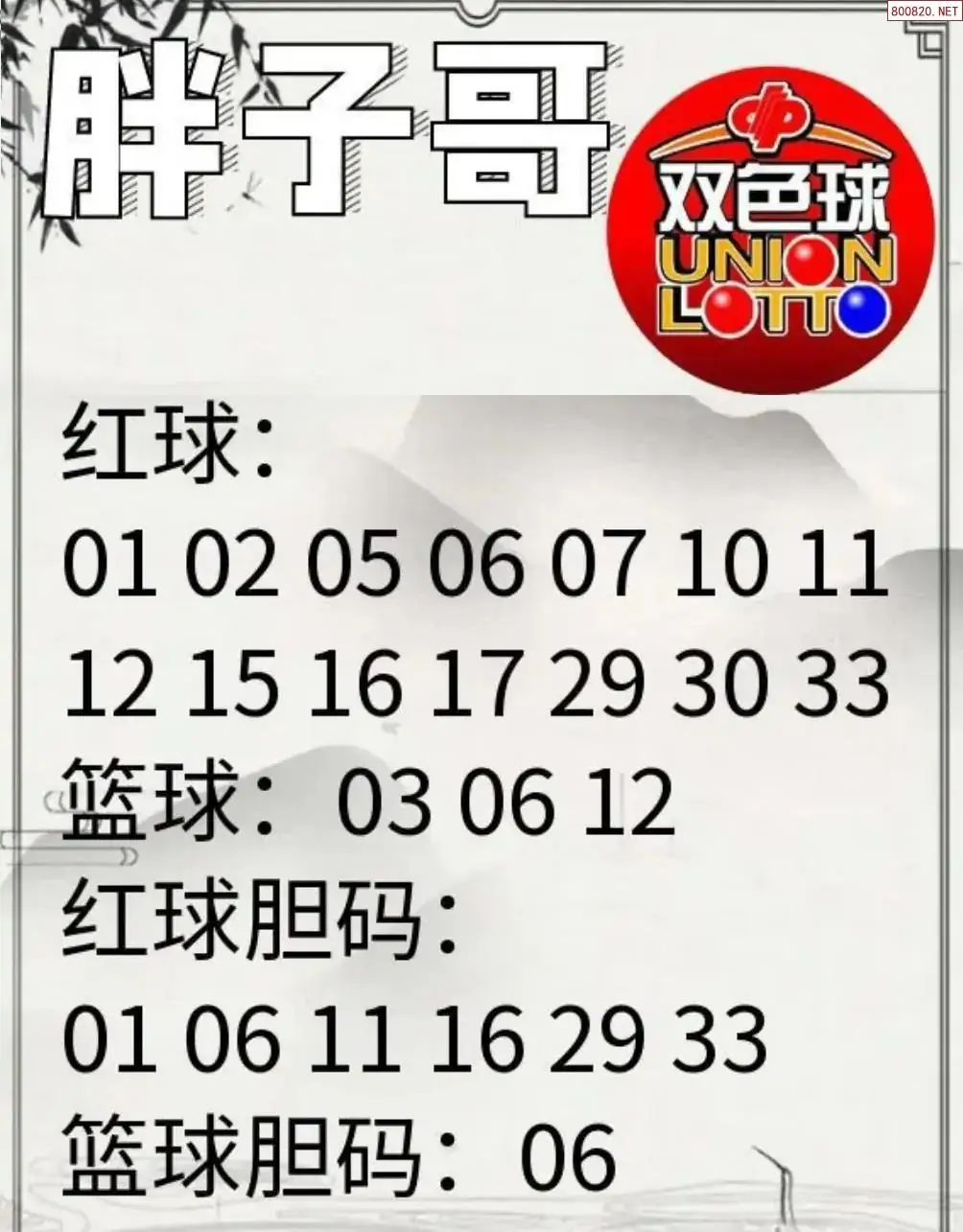 胖哥推荐