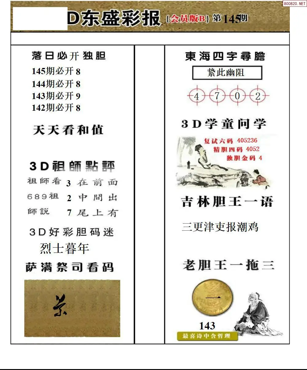 东盛VIP版B版