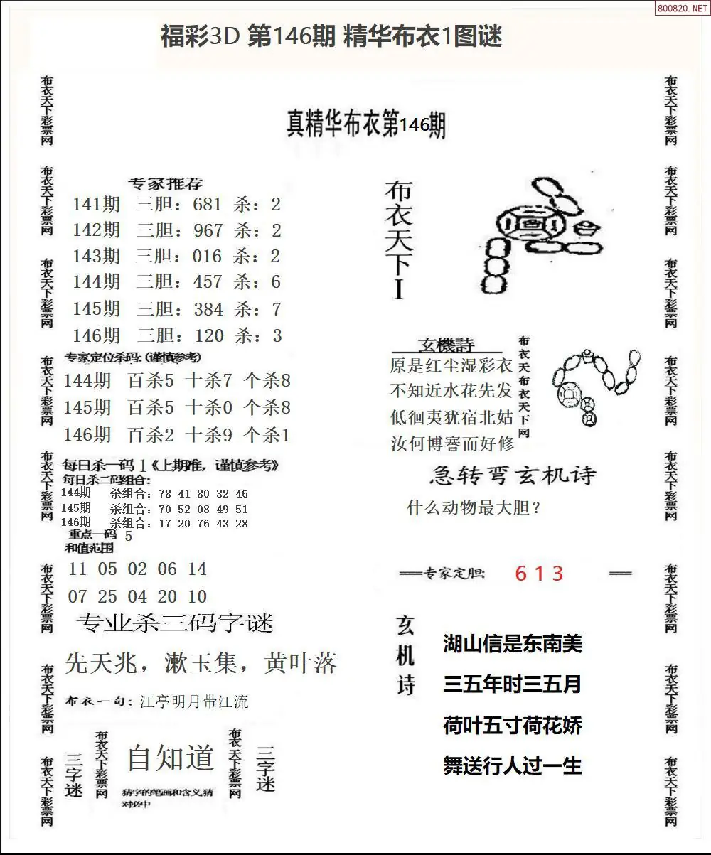 精华布衣1
