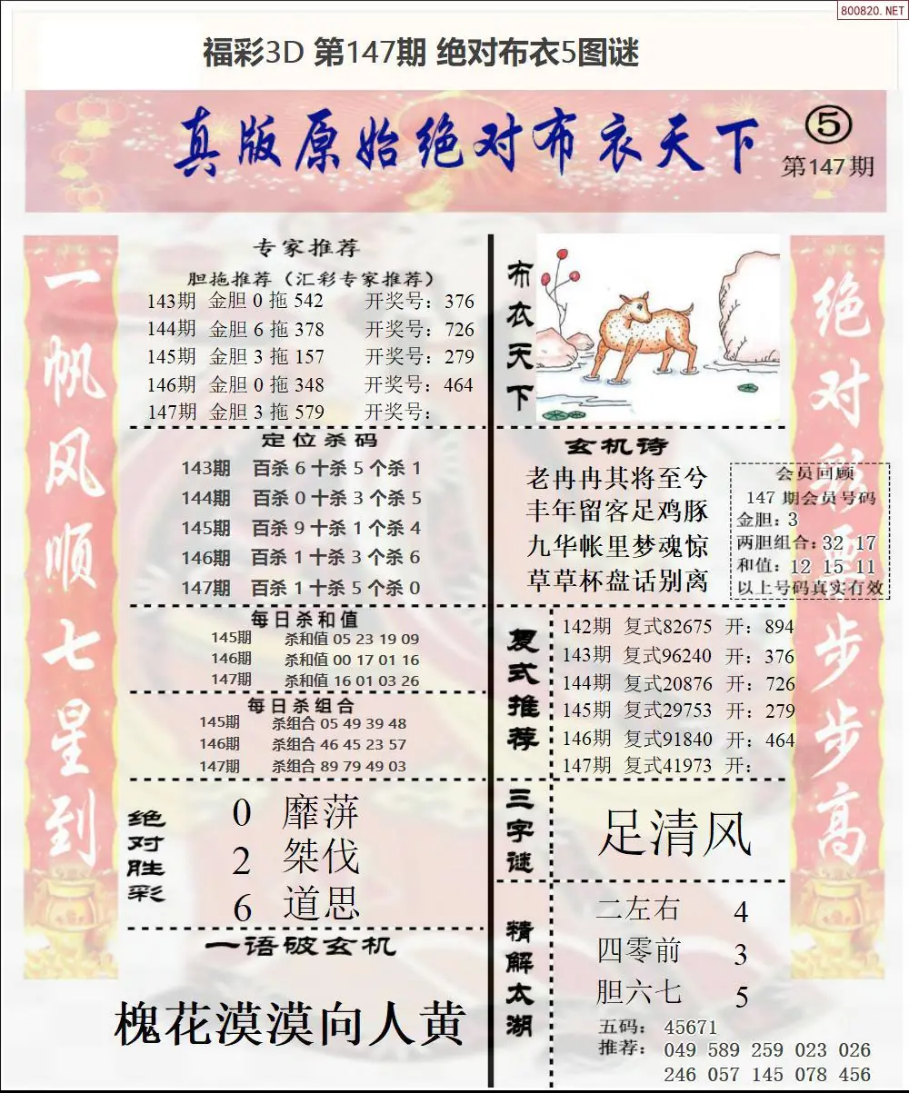 绝对布衣5
