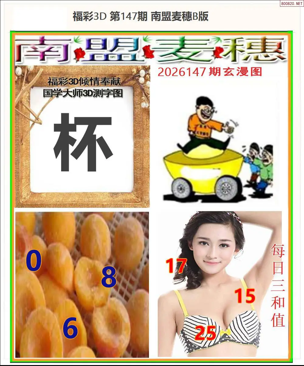南盟麦穗B版