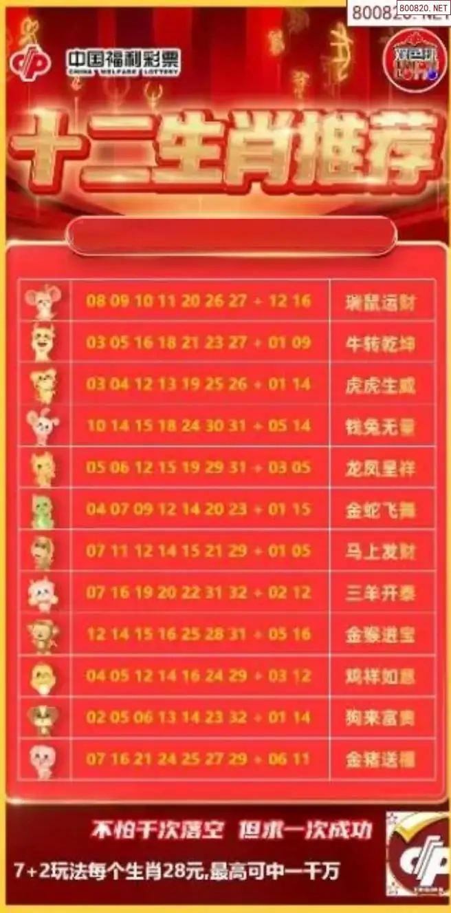 十二生肖推荐图