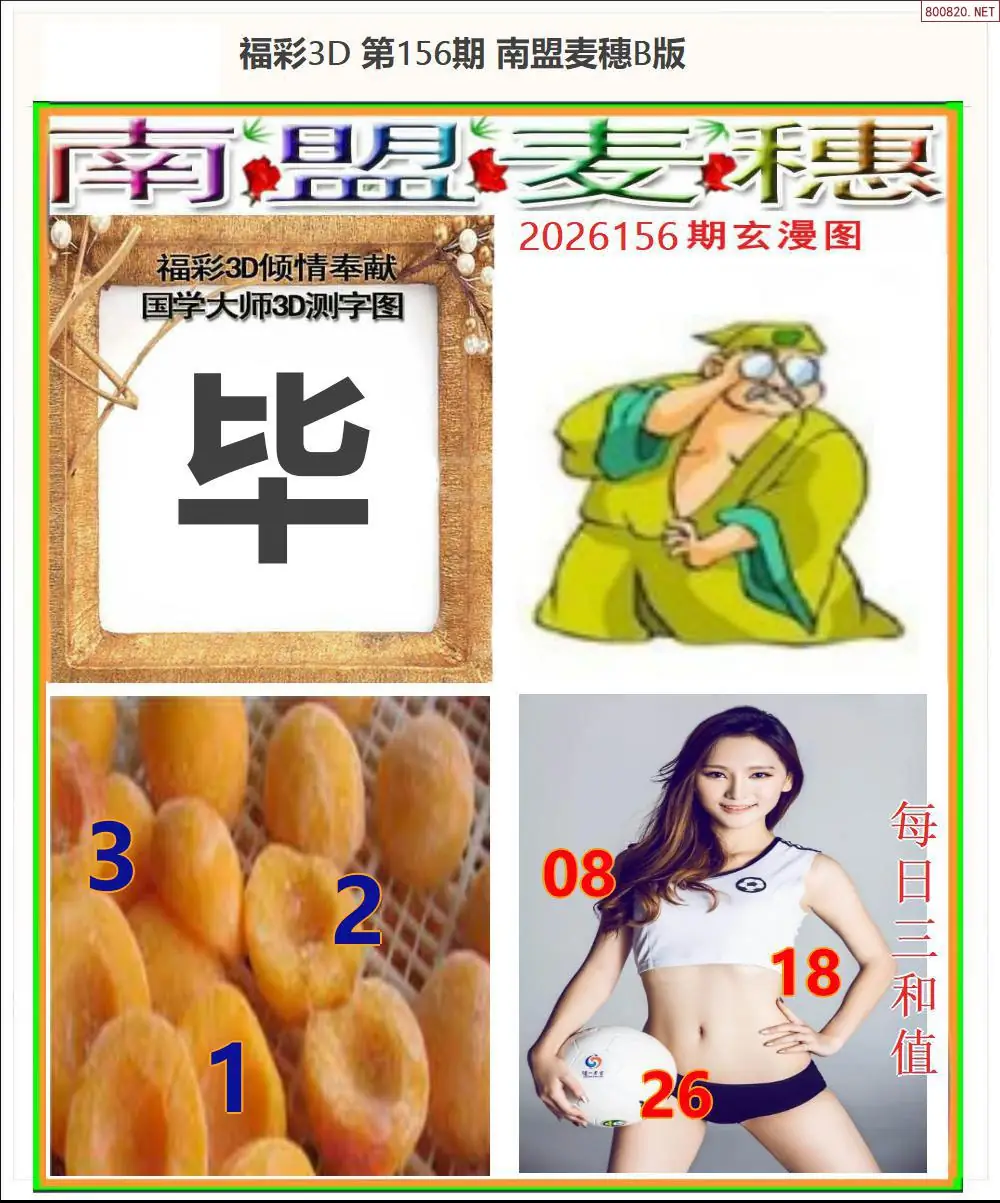 南盟麦穗B版