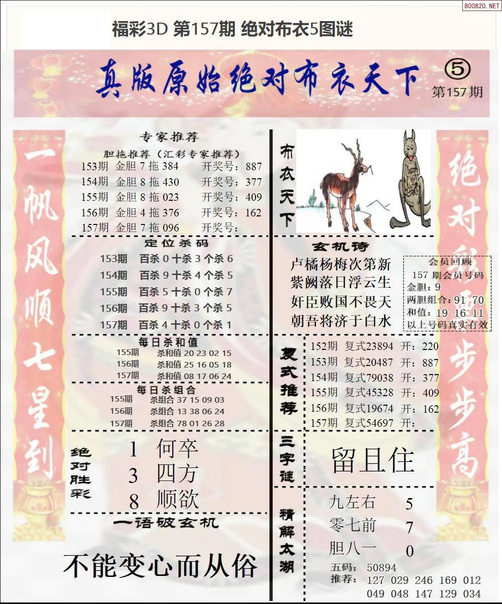 绝对布衣5