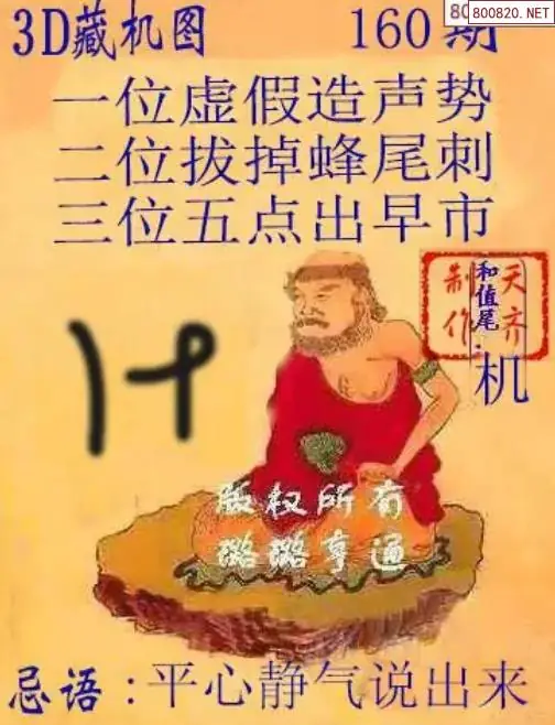 天齐3D藏机图