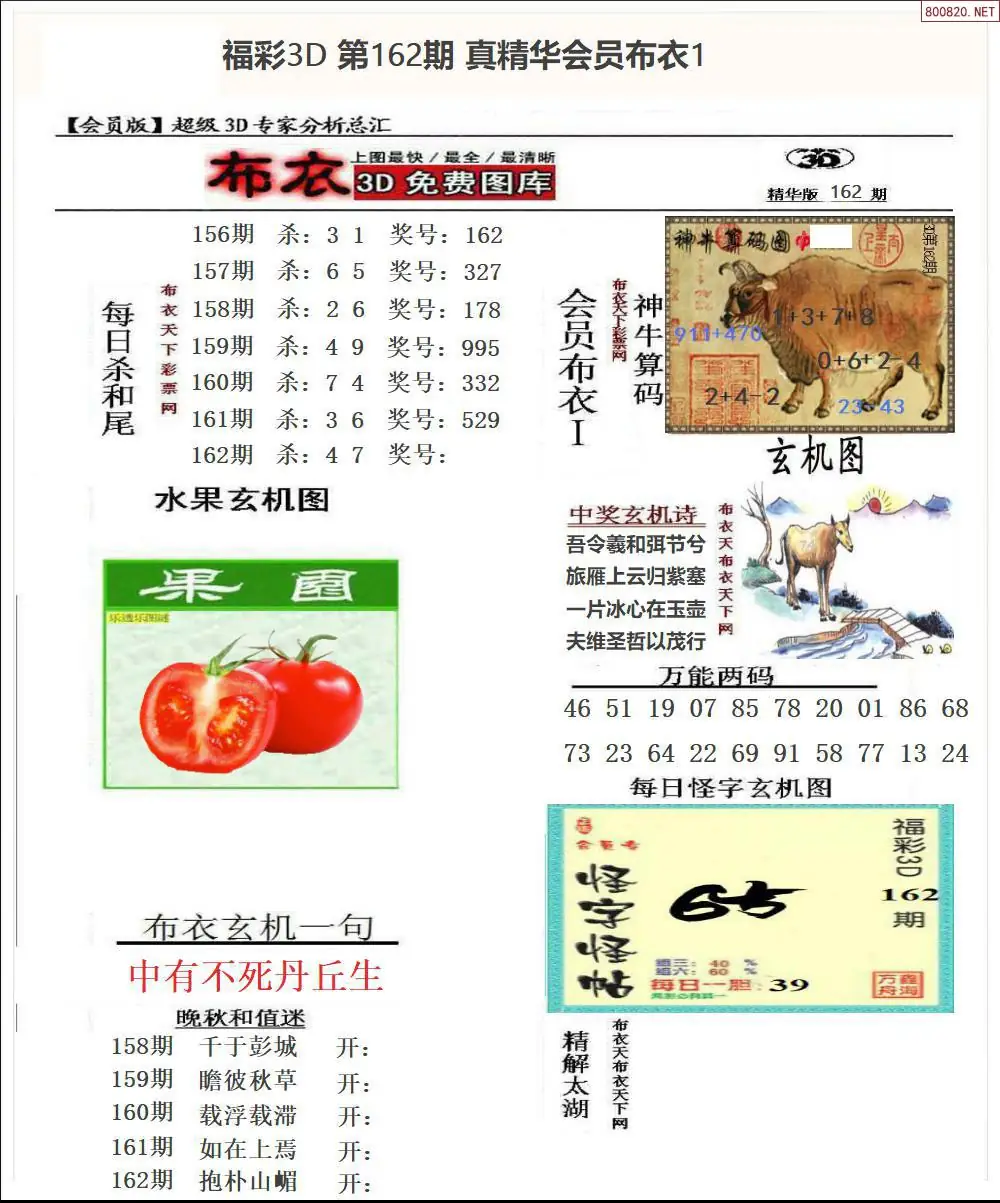 A69真精华会员布衣1