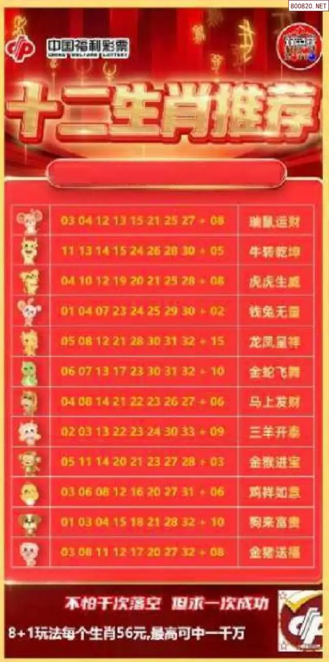 十二生肖推荐图