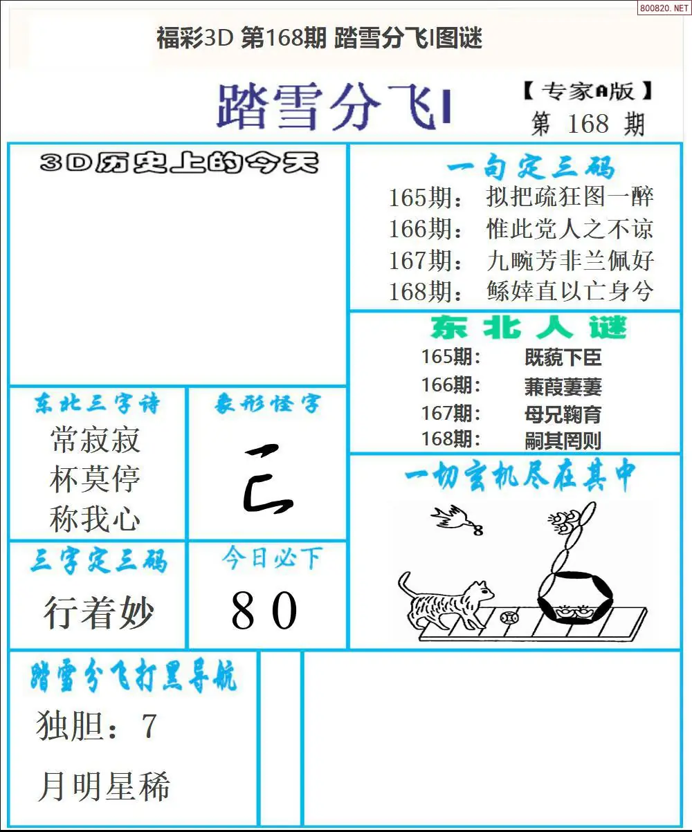 A167东北彩报1版