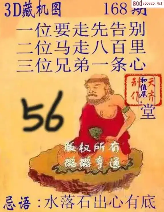 天齐3D藏机图