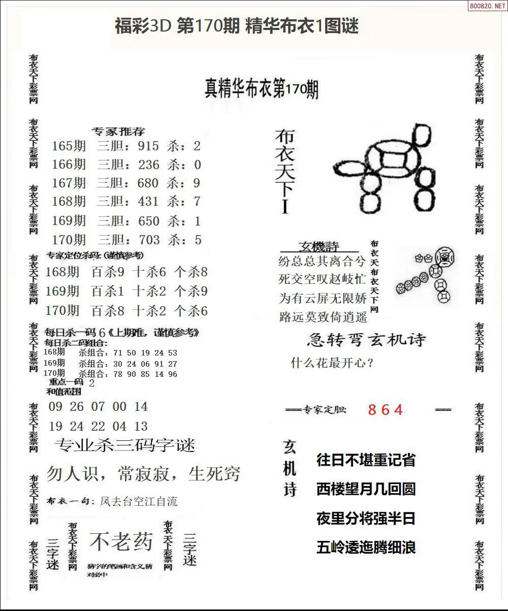 A33精华布衣1
