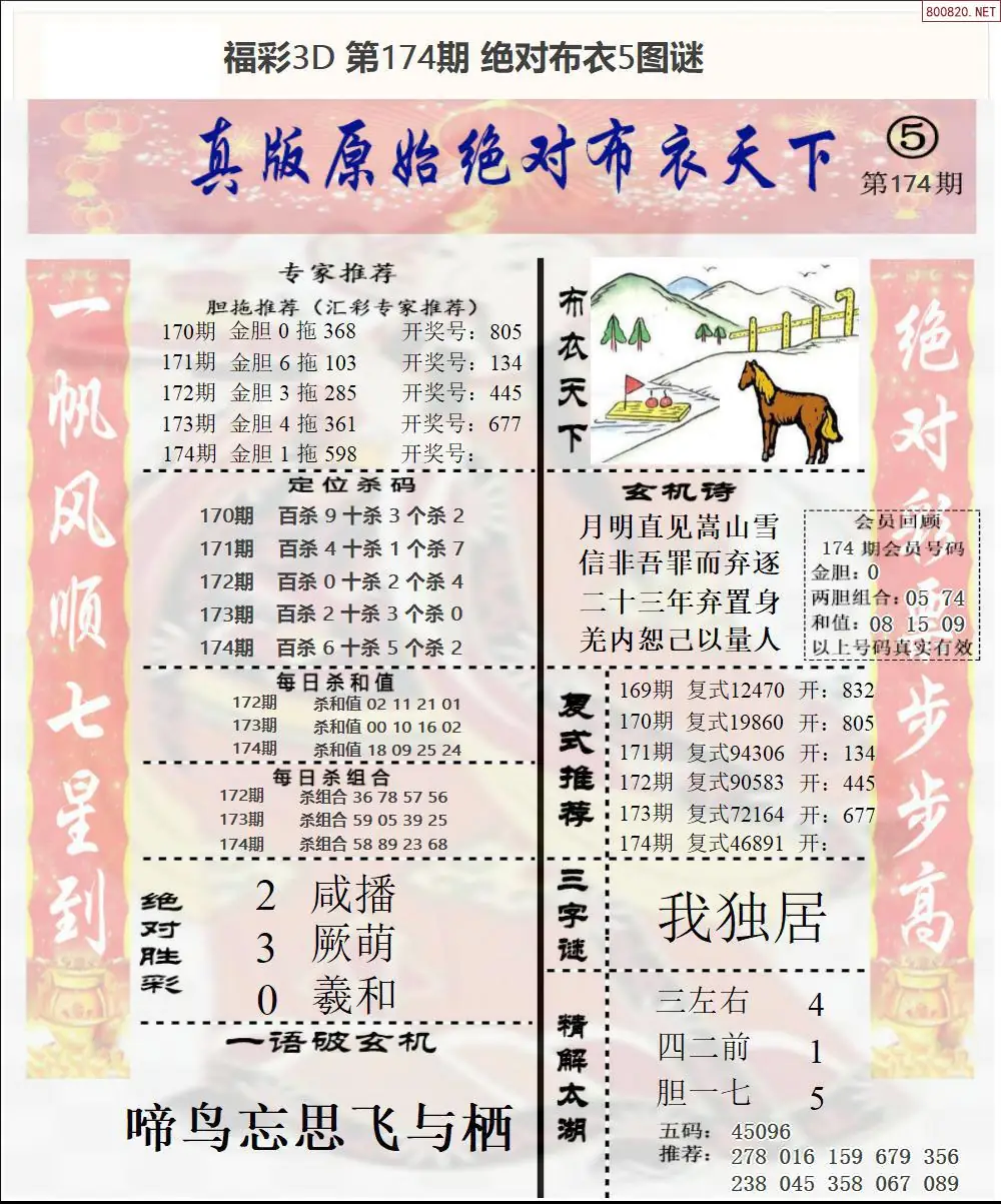 绝对布衣5