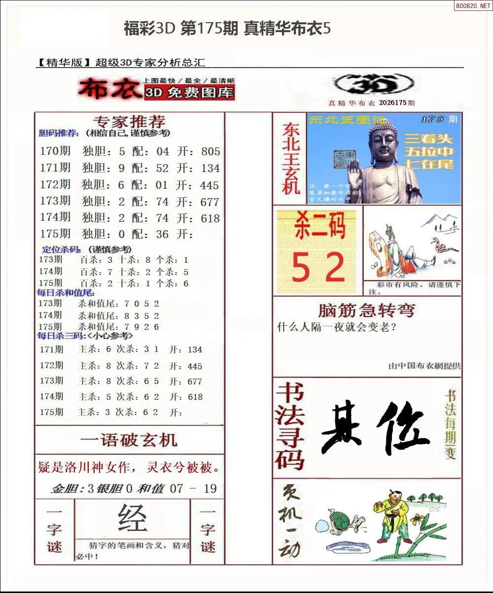 真精华布衣5