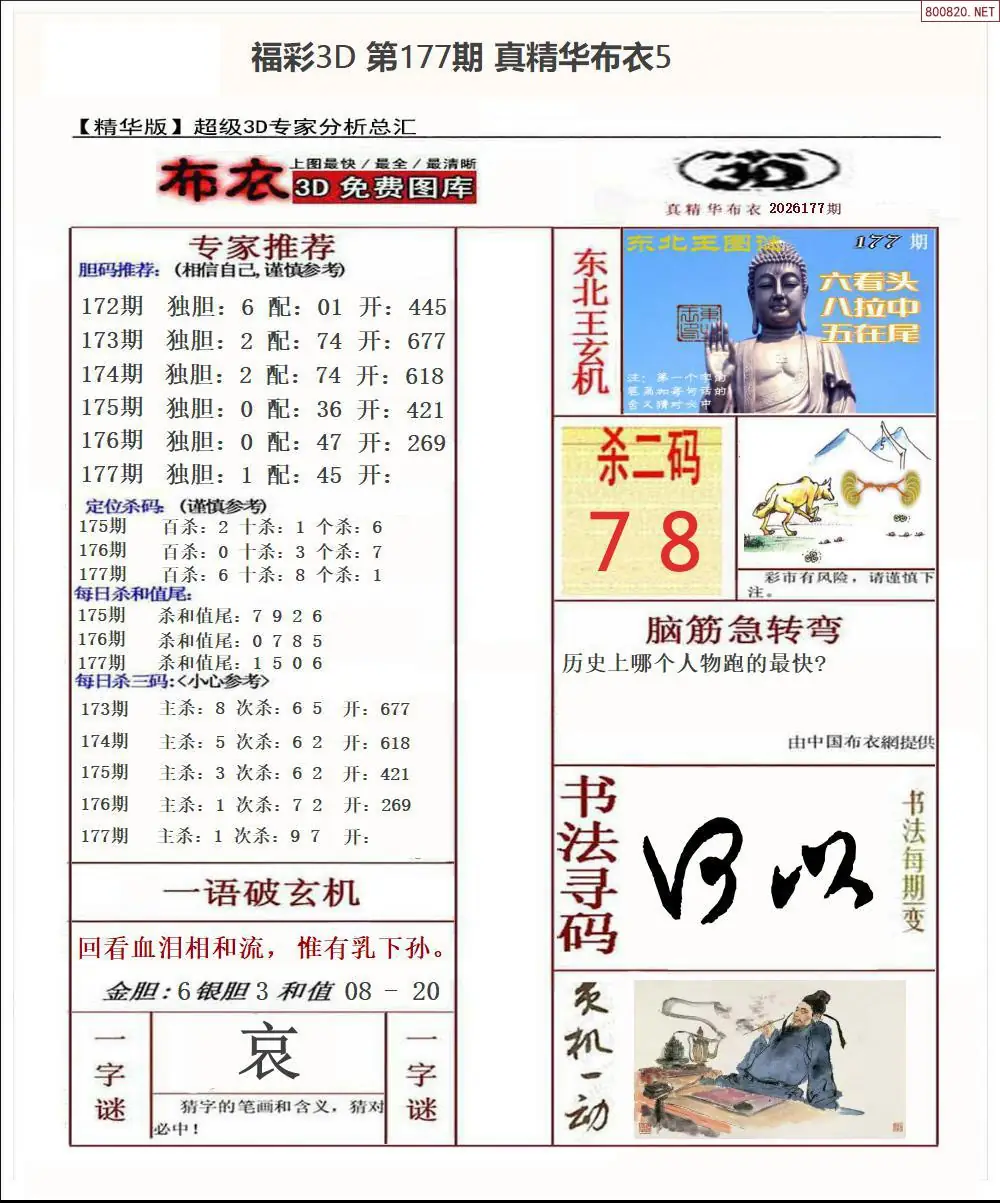 真精华布衣5