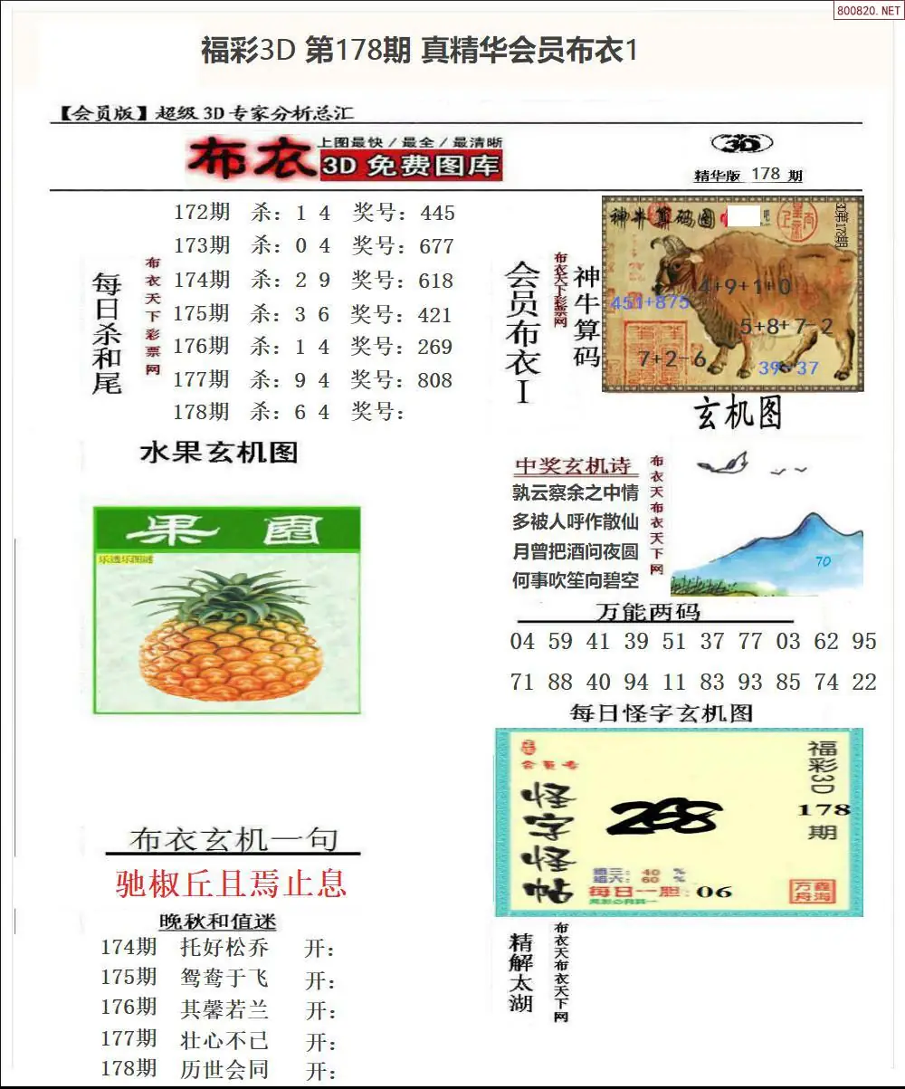 真精华会员布衣1