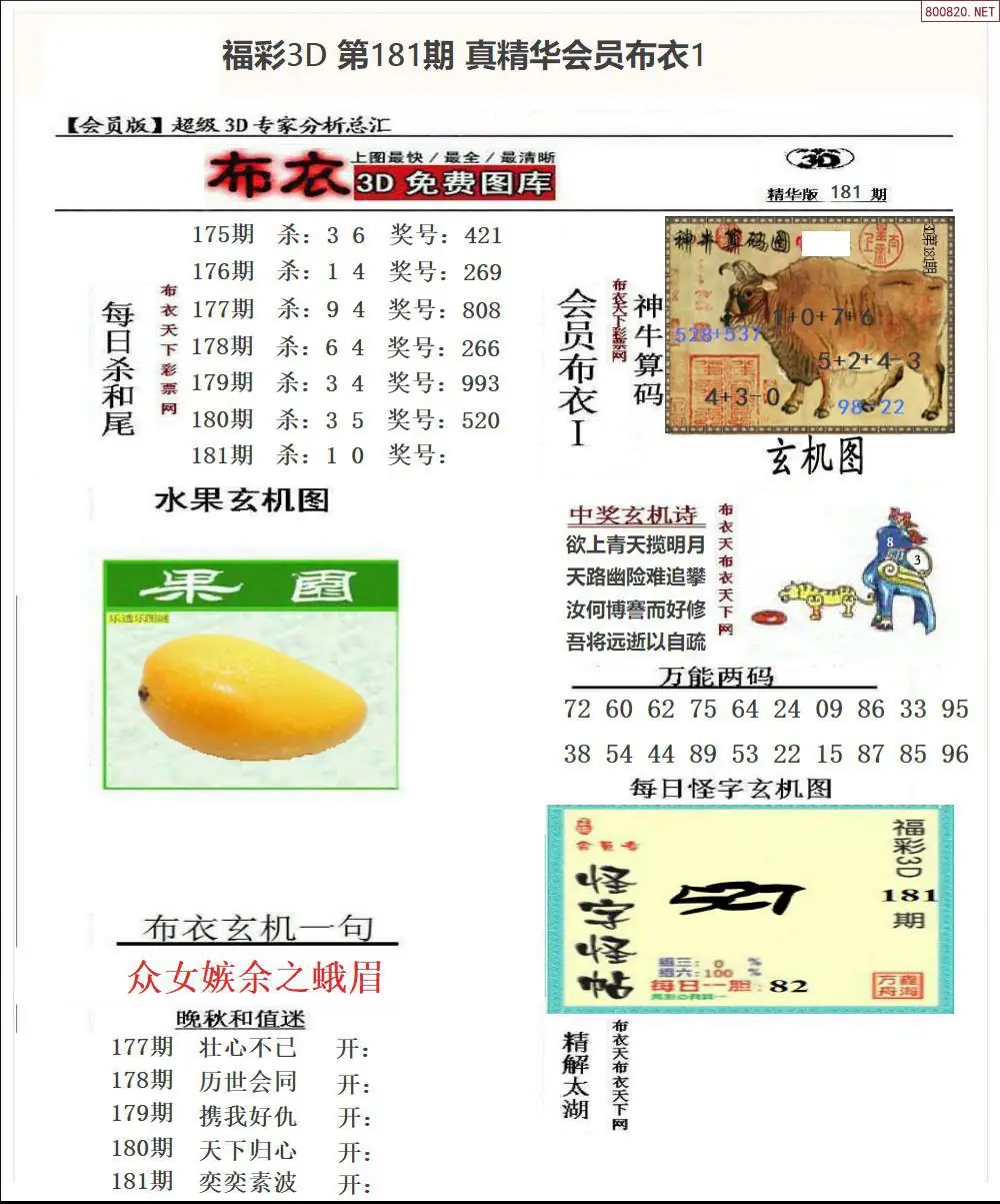 真精华会员布衣1